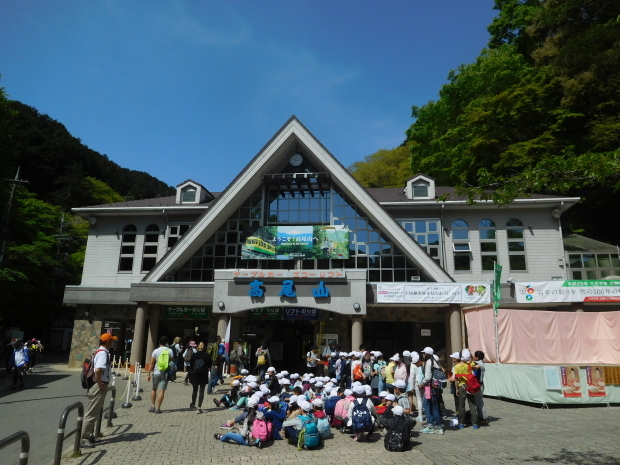 東京都 青梅・奥多摩 その 2 鳩ノ巣渓谷、高尾山_e0345320_22413206.jpg