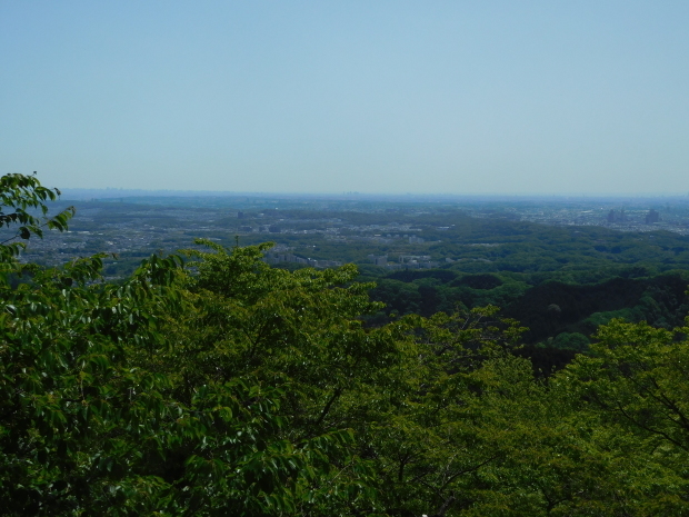 東京都 青梅・奥多摩 その 2 鳩ノ巣渓谷、高尾山_e0345320_22512066.jpg