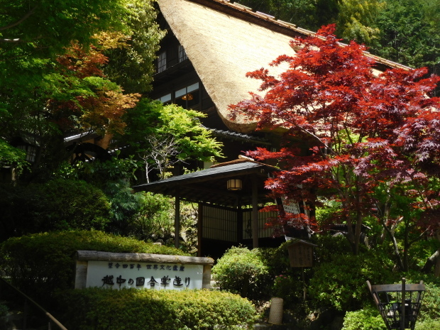 東京都 青梅・奥多摩 その 2 鳩ノ巣渓谷、高尾山_e0345320_23562475.jpg