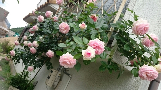 e0263224_02082219.jpg