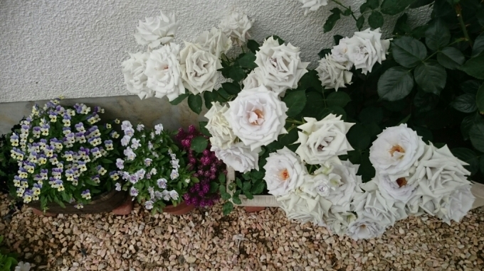 e0263224_02082470.jpg