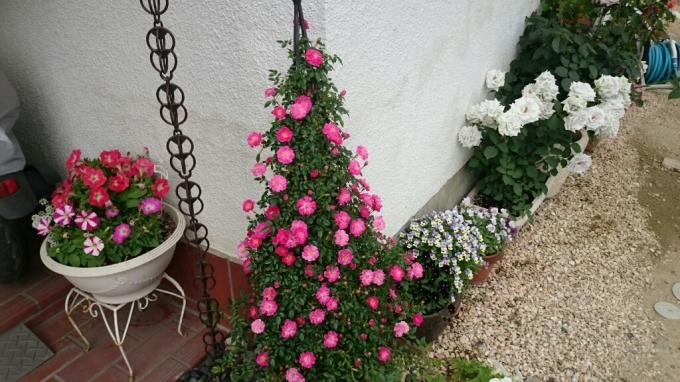 e0263224_02083131.jpg