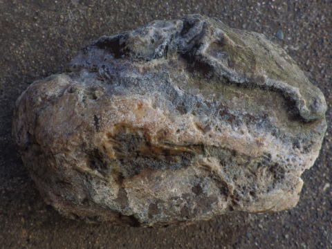 d0045626_22024983.jpg