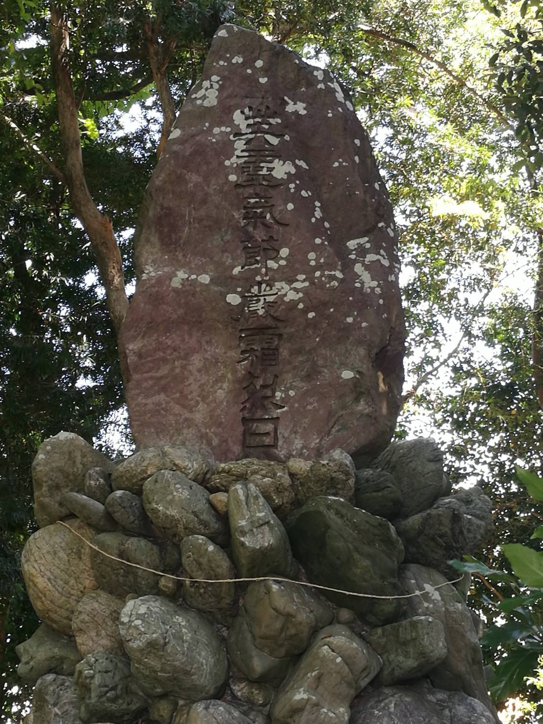 d0165527_10584437.jpg