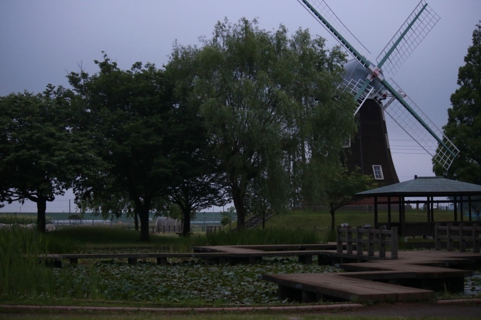 【あけぼの山農業公園 - 1 -】_f0348831_08394162.jpg