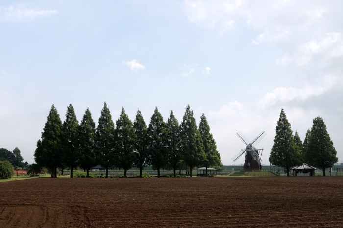 【あけぼの山農業公園 - 1 -】_f0348831_08440954.jpg