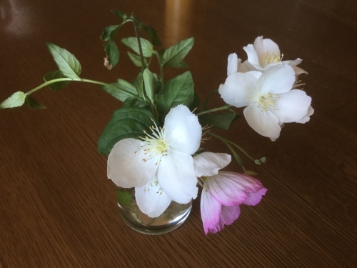 a0053036_15414200.jpg