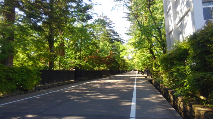 f0210439_06377.jpg