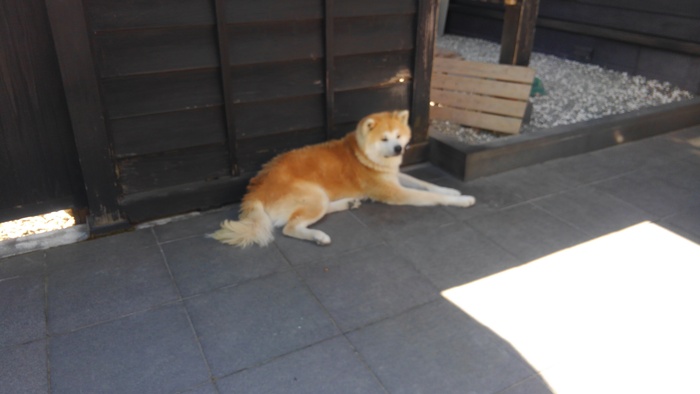 f0210439_23574679.jpg