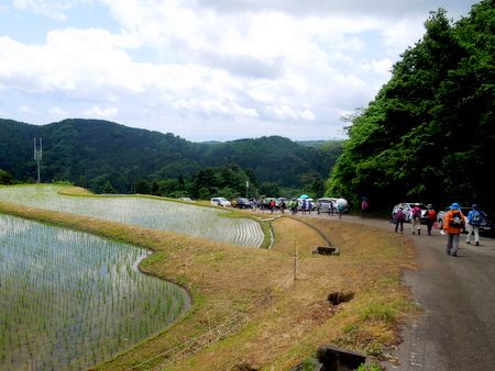 千石池ダム湖と長坂の棚田 クリのウォーキング日記