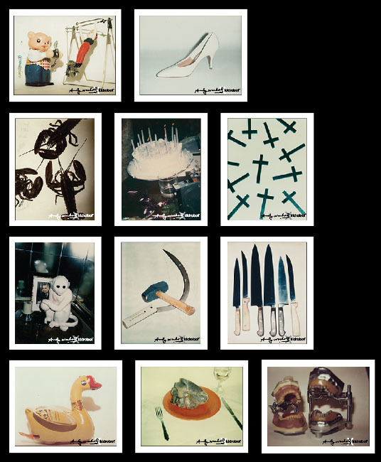 Andy Warhol : Polaroids 1958-1987 / Taschen アンディ