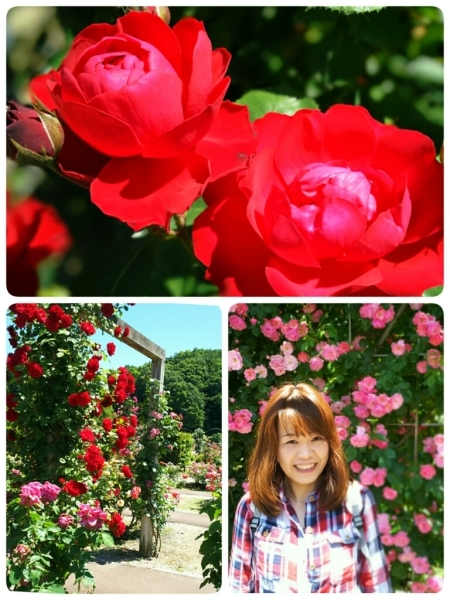 5/28(日)  薔薇☆色の日_a0272042_21550669.jpg