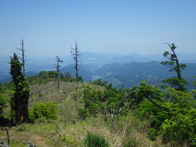 e0164643_2233301.jpg