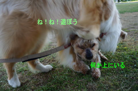 d0013645_21141460.jpg