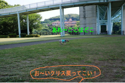 d0013645_21184913.jpg