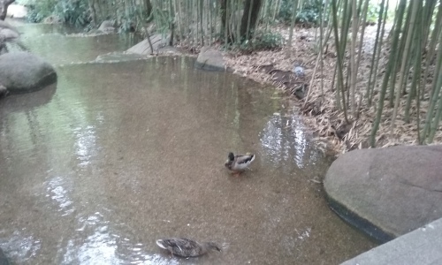 b0247153_22565064.jpeg