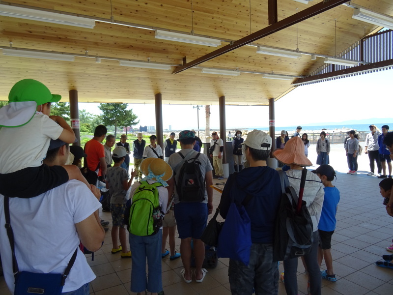 第１０回大阪湾生き物一斉調査　in　せんなん里海公園：さとうみ磯浜_c0108460_02012129.jpg