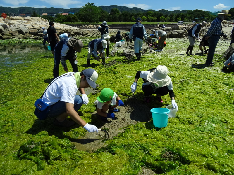 第１０回大阪湾生き物一斉調査　in　せんなん里海公園：さとうみ磯浜_c0108460_02025343.jpg