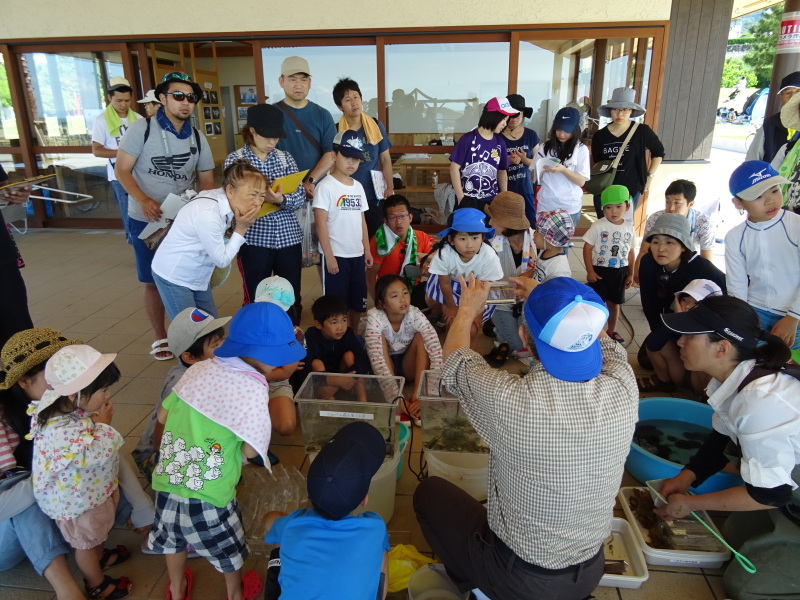 第１０回大阪湾生き物一斉調査　in　せんなん里海公園：さとうみ磯浜_c0108460_02123143.jpg