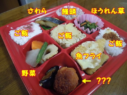 冷凍弁当とは　いかなる物？_a0331562_15123578.jpg