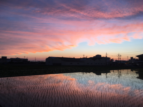 今日の夕焼け_e0136066_22003958.jpg