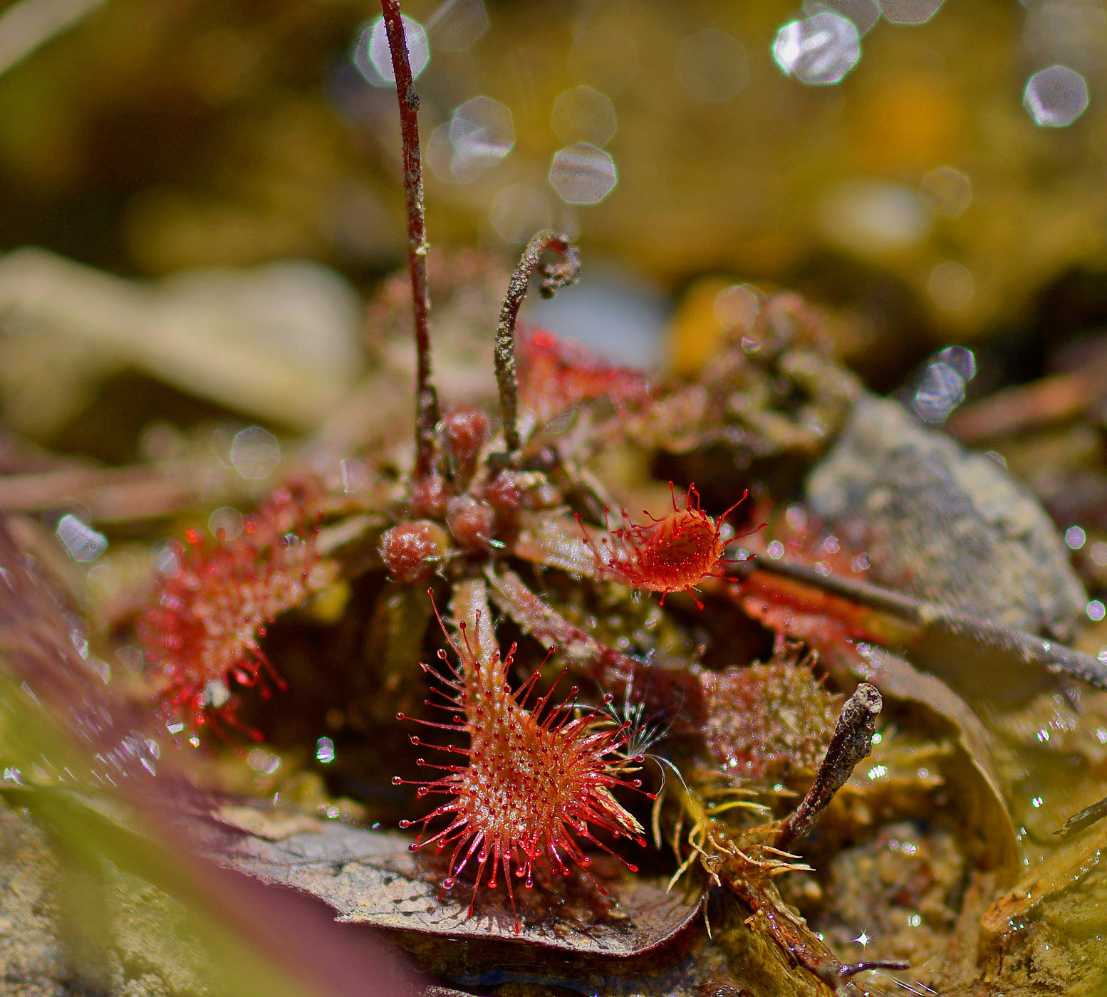 c0232370_20241567.jpg