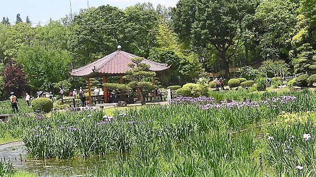 d0125589_14082491.jpg