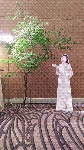 e0199691_00514653.gif