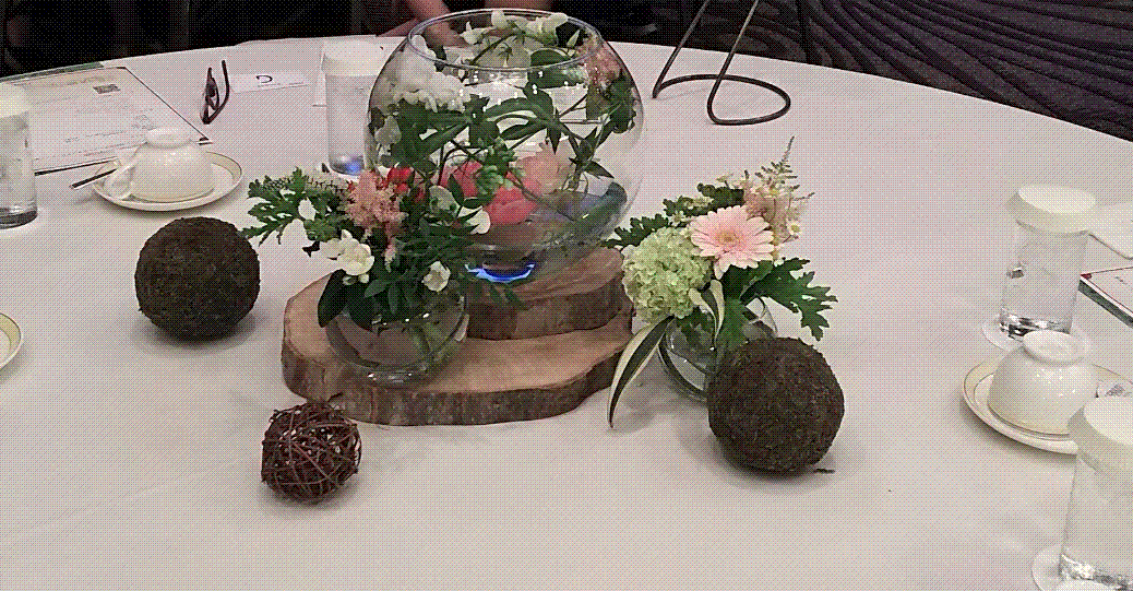 e0199691_00515988.gif