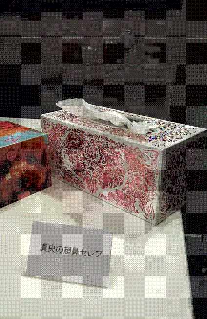 e0199691_01353400.gif
