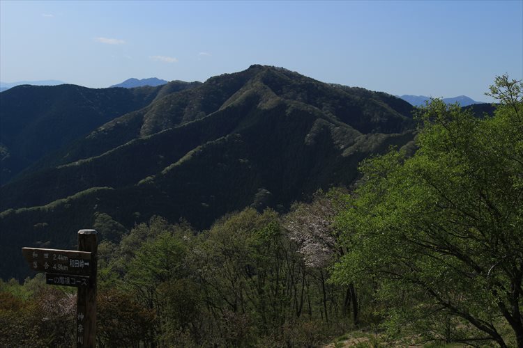 市道山から吊り尾根を経て陣馬山まで_b0246693_02091540.jpg