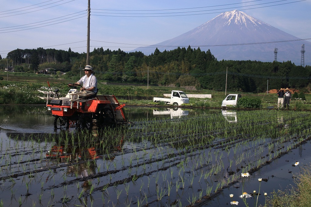 平成の棚田_a0188405_07382933.jpg