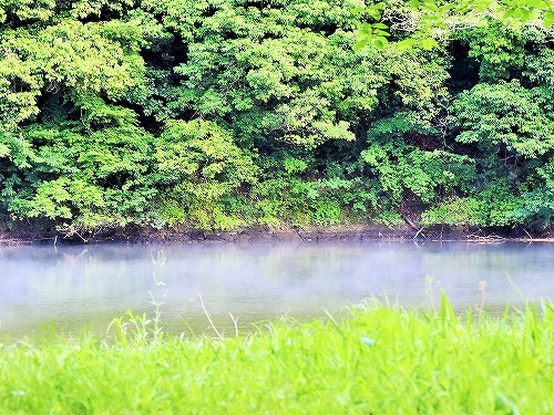 震え上がる週末_d0360206_23264811.jpg