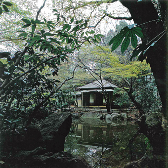 「 茶の湯展 」にいきました。_c0195909_11111943.jpg