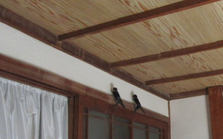 f0231709_21572945.png