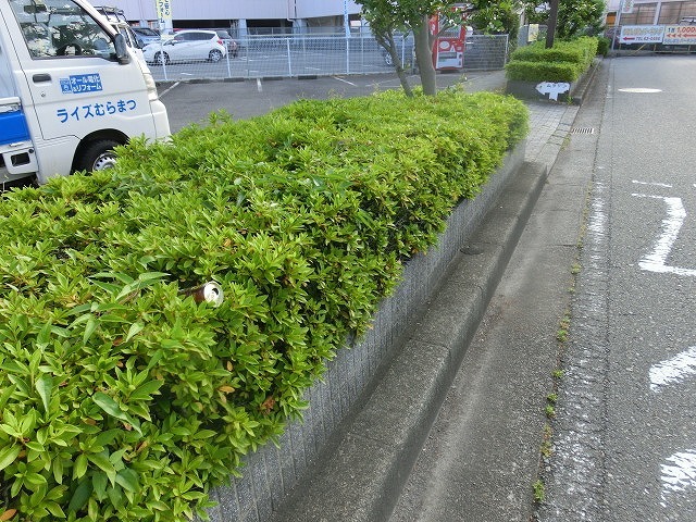 シャワーが気持ちいい季節に! 便教会の新富士駅周辺清掃と町内の消毒作業_f0141310_07120975.jpg