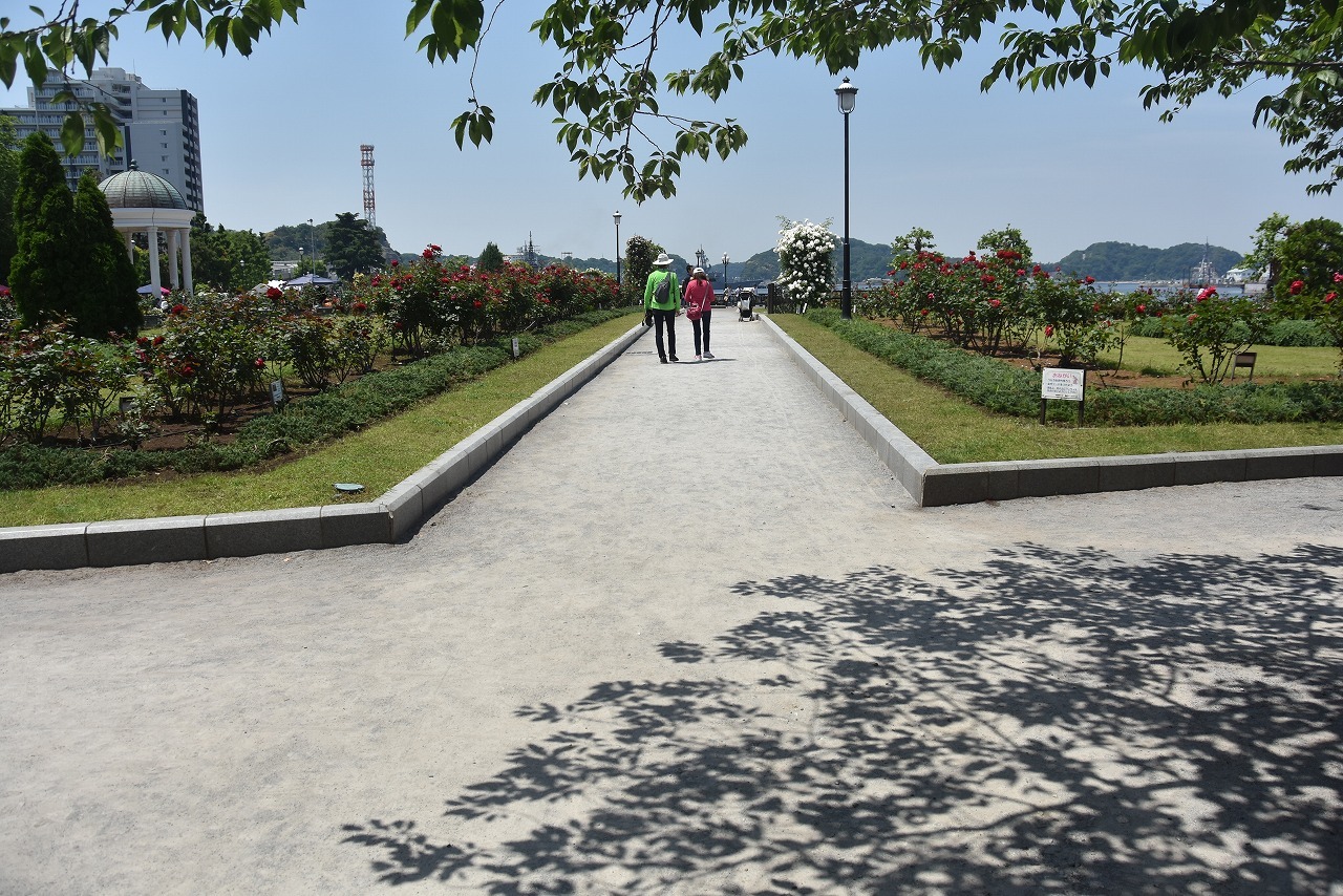 d0065116_20512368.jpg