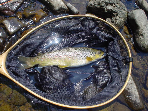 f0280717_13465152.jpg