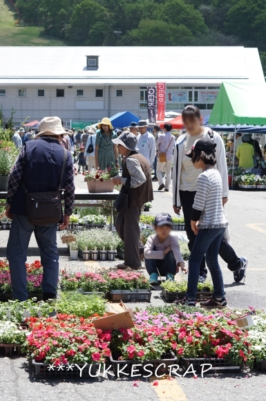5月の八ヶ岳の森から　～八ヶ岳ファーマーズマーケット2017へ～_d0348118_12112447.jpg