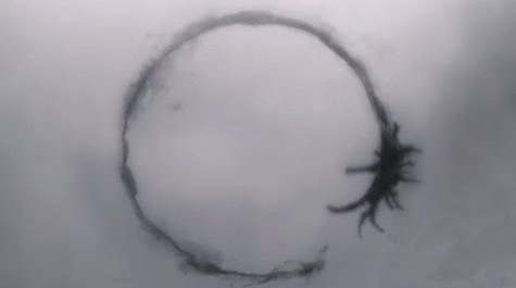 メッセージ (ドゥニ・ヴィルヌーヴ監督 / 原題 : Arrival)_e0345320_23474006.jpg