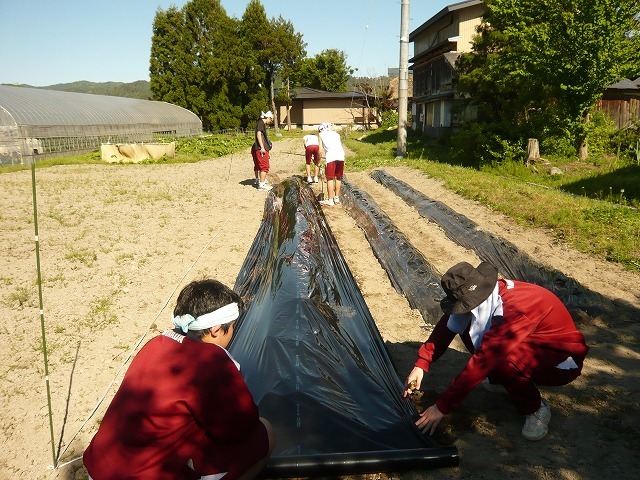 楽しいこと、辛いこと これが人生_d0150627_21432238.jpg