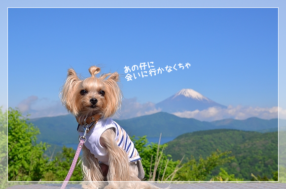 d0179828_23314017.png
