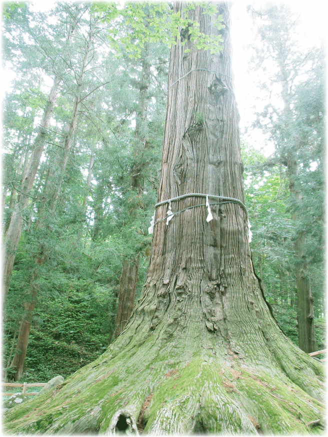 c0107829_21273152.gif