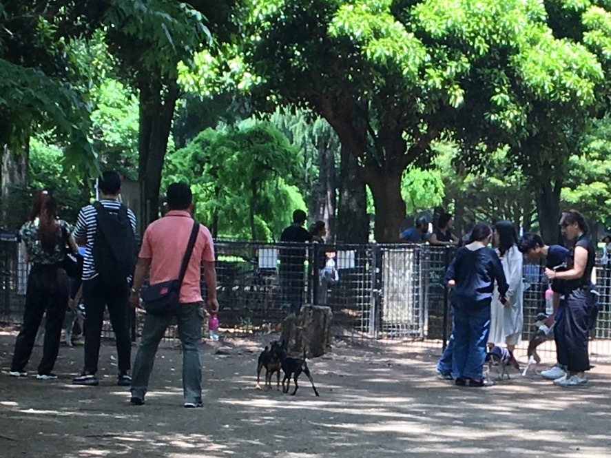 代々木上原から表参道まで歩く 散歩ガイド