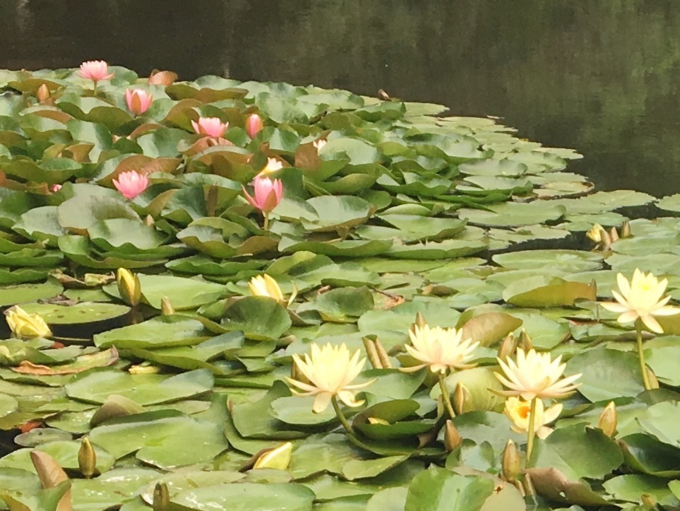 b0330040_22485471.jpg
