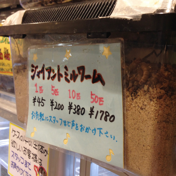 そっからちょっと一歩踏み出してみる_c0060143_11133961.jpg