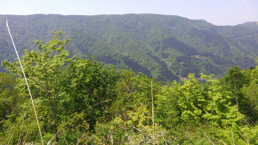 b0165358_22433793.jpg
