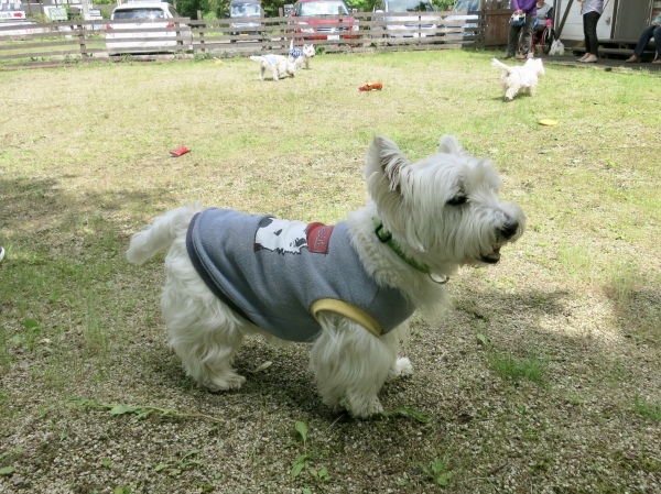 f0363961_14454640.jpeg