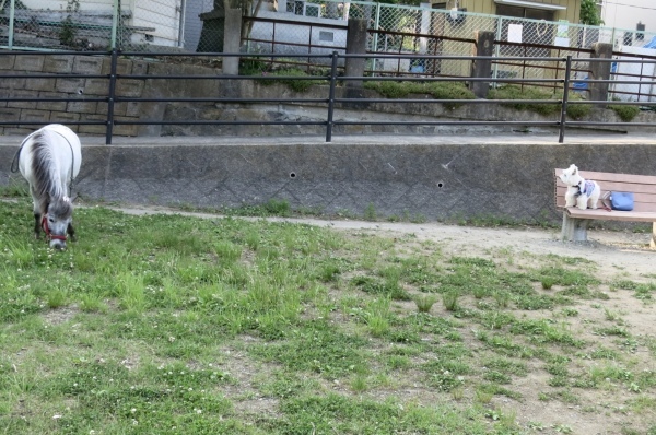 f0363961_21335460.jpeg