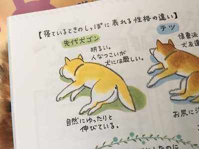 いぬのきもち の連載がボリュームアップ アトリエkotori のほほん柴犬日和 いぬのきもち の連載がボリュームアップ アトリエkotori のほほん柴犬日和